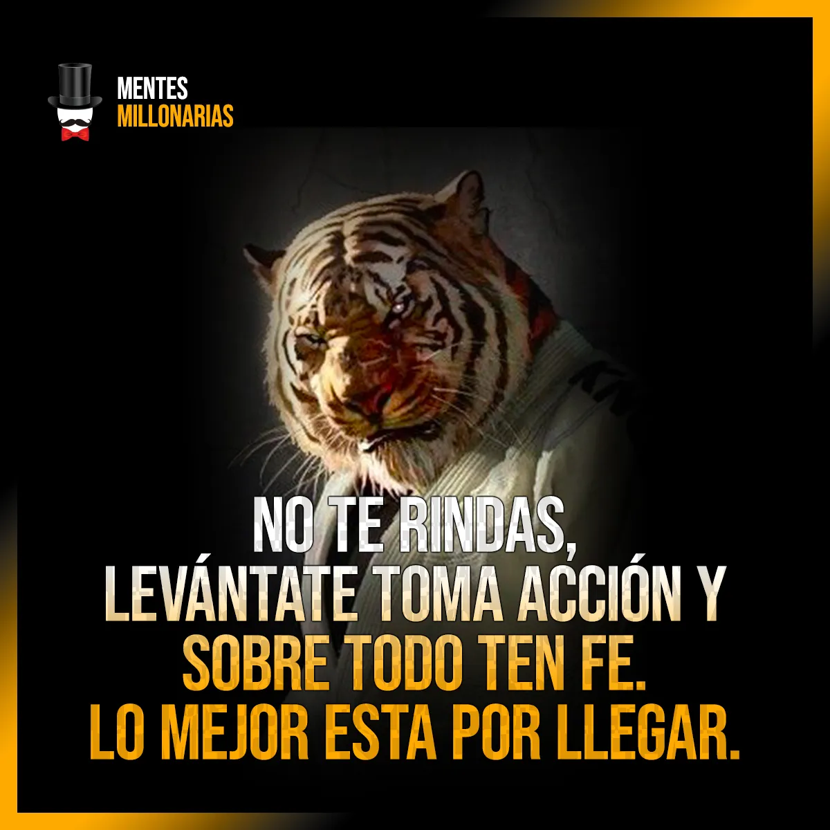 No te rindas, levántate toma acción y sobre todo ten fe.