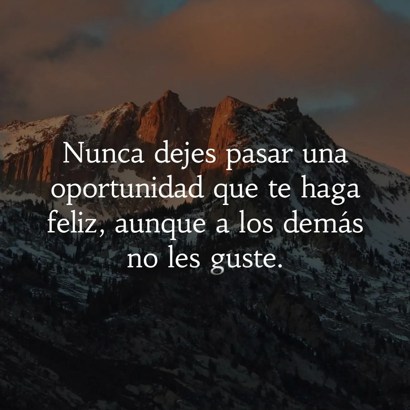 Nunca dejes pasar una oportunidad.