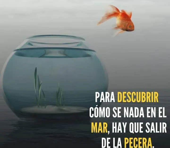 Hay que salir de la pecera para descubrir cómo se nada en el mar.