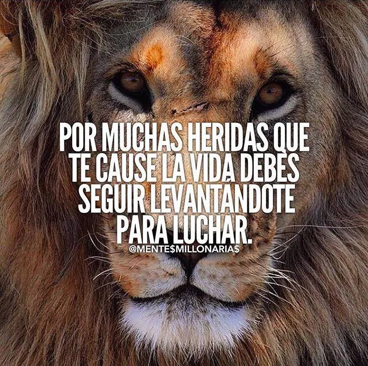 No matter how many wounds life gives you, you must keep getting up to fight.