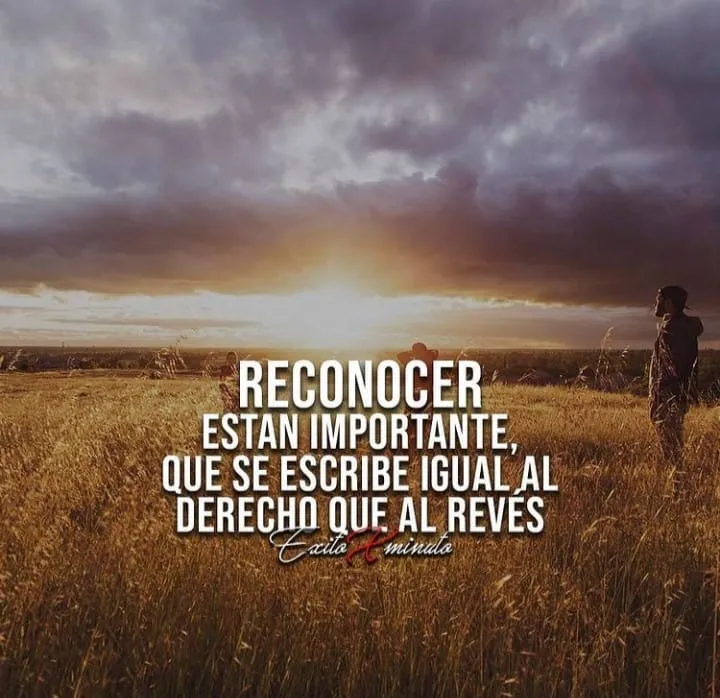 Reconocer es importante, que se escribe igual al derecho que al revés.