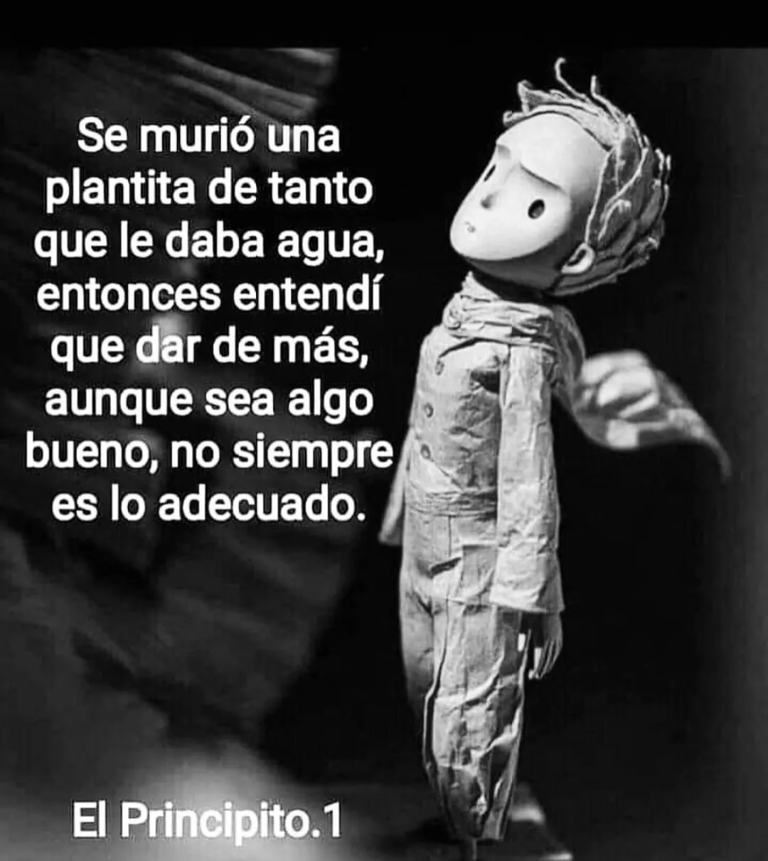 Una plantita se murió de tanto que le daba agua.