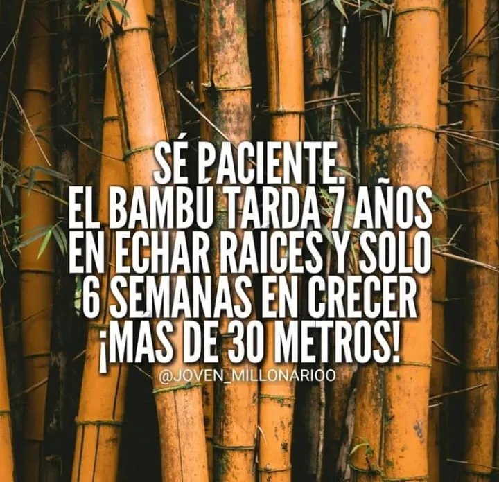Sé paciente.  el bambú tarda años en echar raíces.