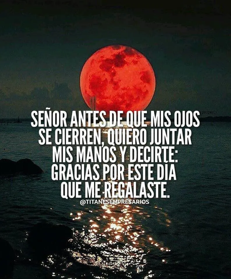Antes de que mis ojos se cierren, quiero juntar mis manos y decirte