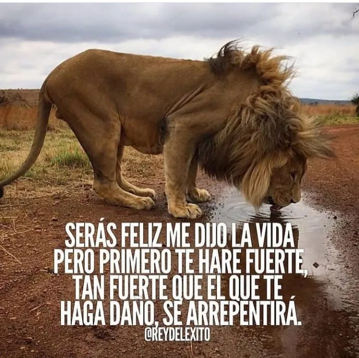 Serás feliz me dijo la vida.