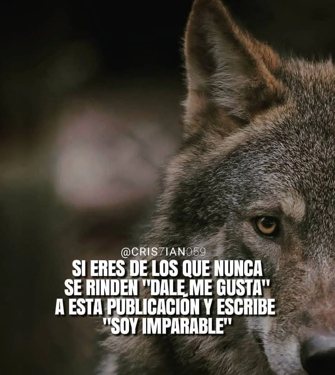 Si eres de los que nunca se rinden.