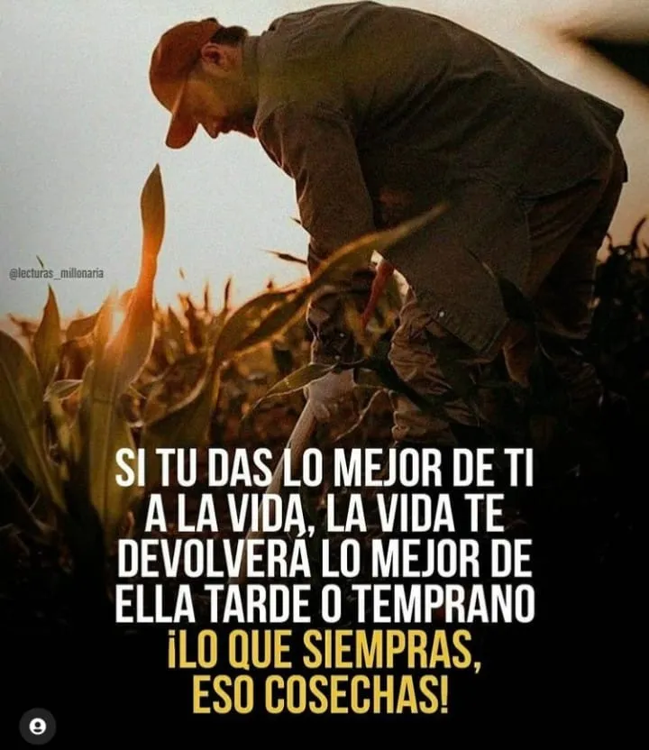 Si tú das lo mejor de ti a la vida. . .