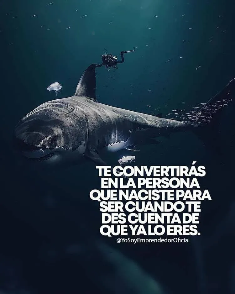 Te convertirás en la persona que naciste para ser cuando te des cuenta de que ya lo eres.