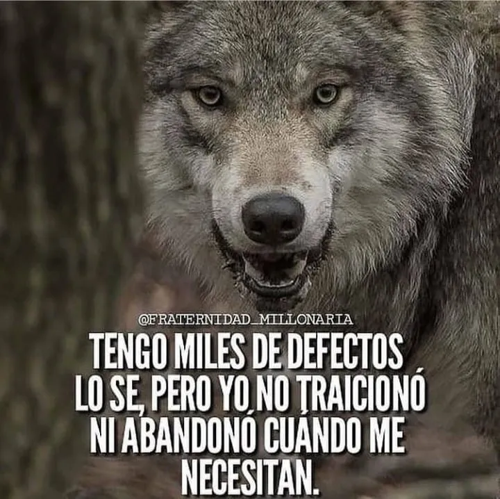 Tengo miles de defectos, lo sé, pero yo no traicionó ni abandono cuando me necesitan.