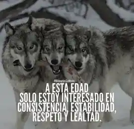 a_esta_edad_solo_estoy_interesado_en_consistencia_estabilidad_respeto_y_lealtad