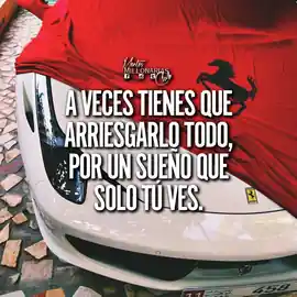 a_veces_tienes_que_arriesgarlo_todo_por_un_sueno_que_solo_tu_ves