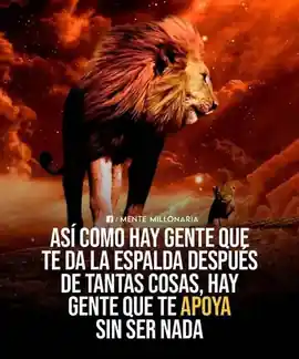 asi_como_hay_gente_que_te_da_la_espalda_despues_de_tantas_cosas_hay_gente_que_te_apoya_sin_ser_nada