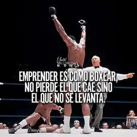 emprender_es_como_boxear_no_pierde_el_que_cae_sino_el_que_no_se_levanta