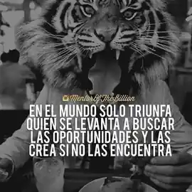 en_el_mundo_solo_triunfa_quien_se_levanta_a_buscar_las_oportunidades_y_las_crea_si_no_las_encuentra