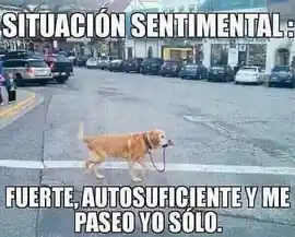 fuerte_autosuficiente_y_me_paseo_yo_solo