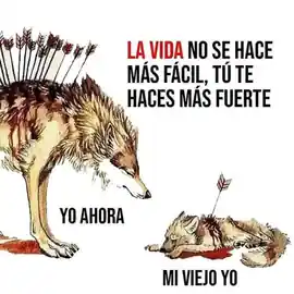 la_vida_no_se_hace_mas_facil_tu_te_haces_mas_fuerte