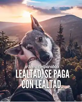 lealtad_se_paga_con_lealtad