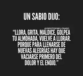 llora_grita_maldice_golpea_tu_almohada_vuelve_a_llorar_porque_para_llenarse_de_nuevas_alegrias_hay_que_vaciarse_primero_del_dolor_y_el_enojo