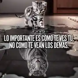 lo_importante_es_como_te_ves_tu_no_como_te_vean_los_demas