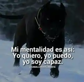 mi_mentalidad_es_asi_yo_quiero_yo_puedo_yo_soy_capaz