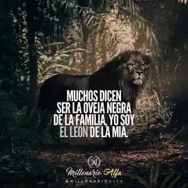 muchos_dicen_ser_la_oveja_negra_de_la_familia_yo_soy_el_leon_de_la_mia