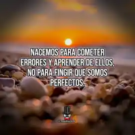 nacemos_para_cometer_errores_y_aprender_de_ellos_no_para_fingir_que_somos_perfectos
