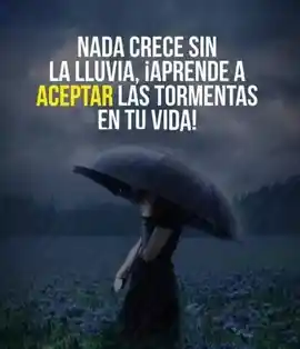 nada_crece_sin_la_lluvia_aprende_a_aceptar_las_tormentas_en_tu_vida