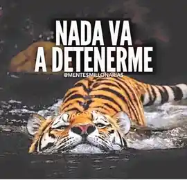 nada_va_a_detenerme