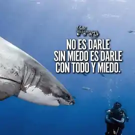 no_es_darle_sin_miedo_es_darle_con_todo_y_miedo