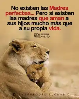 no_existen_las_madres_perfectas_pero_si_existen_las_madres_que_aman_a_sus_hijos_mucho_mas_que_a_su_propia_vida
