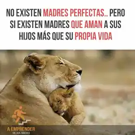 no_existen_madres_perfectas_pero_si_existen_madres_que_aman_a_sus_hijos_mas_que_su_propia_vida
