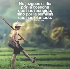 no_juzgues_el_dia_por_la_cosecha_que_has_recogido_sino_por_la_semillas_que_has_plantado