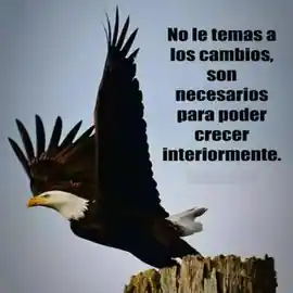 no_le_temas_a_los_cambios_son_necesarios_para_poder_crecer_interiormente