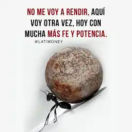 no_me_voy_a_rendir_aqui_voy_otra_vez_hoy_con_mucha_mas_fe_y_potencia