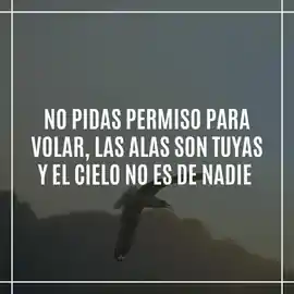 no_pidas_permiso_para_volar_las_alas_son_tuyas_y_el_cielo_no_es_de_nadie