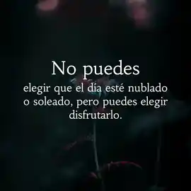 no_puedes_elegir_que_el_dia_este_nublado_o_soleado_pero_puedes_elegir_disfrutarlo