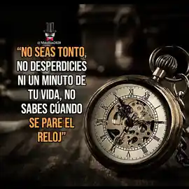 no_seas_tonto_no_desperdicies_ni_un_minuto_de_tu_vida_no_sabes_cuando_se_pare_el_reloj