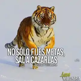 no_solo_fijes_metas_sal_a_cazarlas