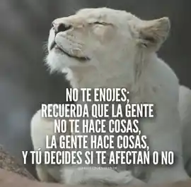 no_te_enojes_recuerda_que_la_gente_no_te_hace_cosas_la_gente_hace_cosas_y_tu_decides_si_te_afectan_o_no