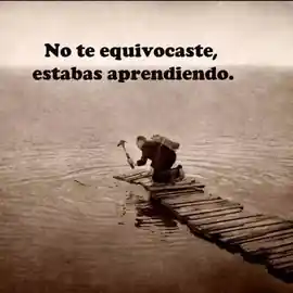 no_te_equivocastes_estabas_aprendiendo