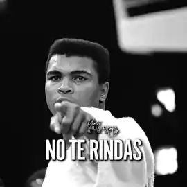 no_te_rindas