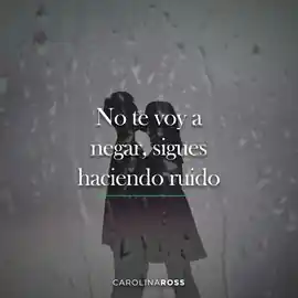 no_te_voy_a_negar_sigues_haciendo_ruido