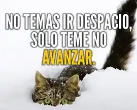 no_temas_ir_despacio_solo_teme_no_avanzar