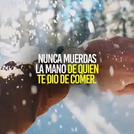 nunca_muerdas_la_mano_de_quien_te_dio_de_comer