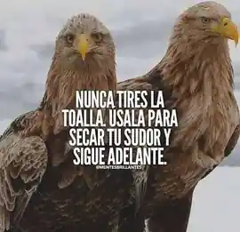nunca_tires_la_toalla_usala_para_secar_tu_sudor_y_sigue_adelante
