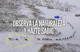 observa_la_naturaleza_y_hazte_sabio