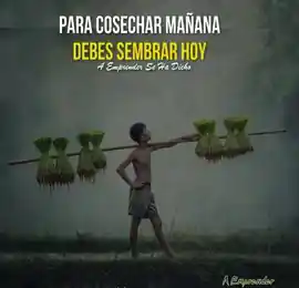 para_cosechar_manana_debes_sembrar_hoy