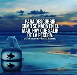 para_descubrir_como_se_nada_en_el_mar_hay_que_salir_de_la_pecera