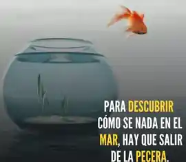 para_descubrir_como_se_nada_en_el_mar_hay_que_salir_de_la_pecera_1