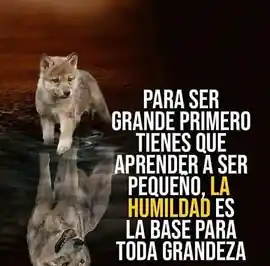 para_ser_grande_primero_tienes_que_aprender_a_ser_pequeno_la_humildad_es_la_base_para_toda_grandeza